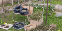 Прокуратура направила в суд уголовное дело о незаконном приобретении и хранении наркотических средств в крупном размере - Henichesk.Ru